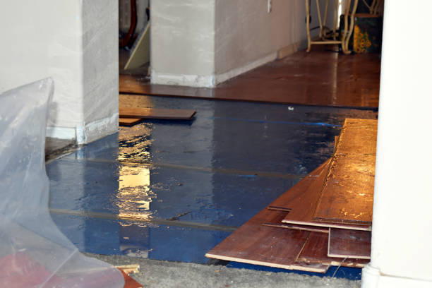 Professional Sewage Cleanup technician working in Briggs, OK
